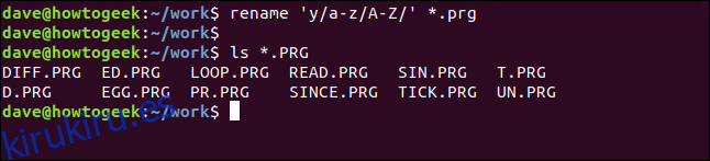 cambiar el nombre de 'y / az / AZ /' * .prg en una ventana de terminal