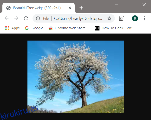 La imagen de WebP se abre directamente dentro de Chrome cuando se hace clic