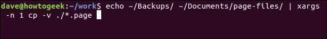 echo ~ / Backups / ~ / Documents / page-files / |  xargs -n 1 cp -v ./*.page en una ventana de terminal