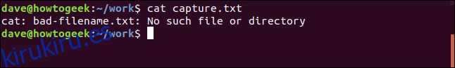 contenido del archivo capture.txt en una ventana de terminal