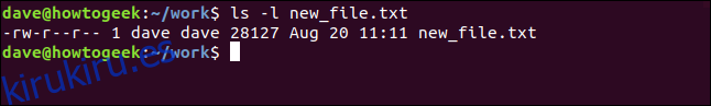 ls -l new_ file.txt en una ventana de terminal