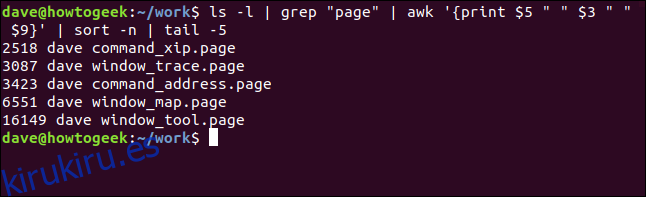 Los cinco archivos .page más grandes enumerados por orden de tamaño en una ventana de terminal