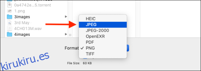Seleccione el formato de archivo en el que desea exportar la imagen
