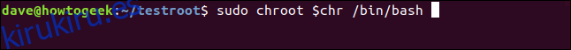 sudo chroot $ chr / bin / bash en una ventana de terminal