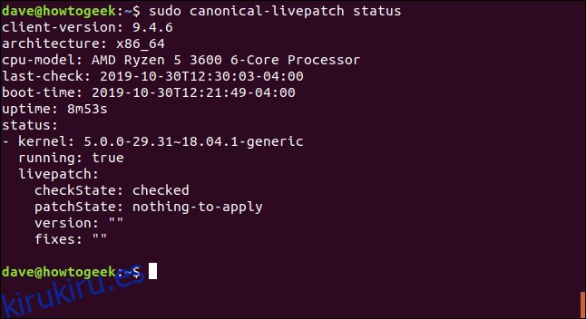 sudo canonical-livepatch status en una ventana de terminal