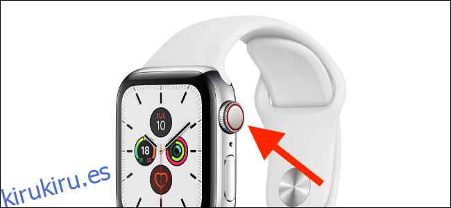Apple Watch Cellular punto o anillo rojo