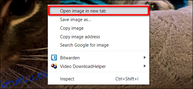 Imagen abierta de Chrome en una pestaña nueva