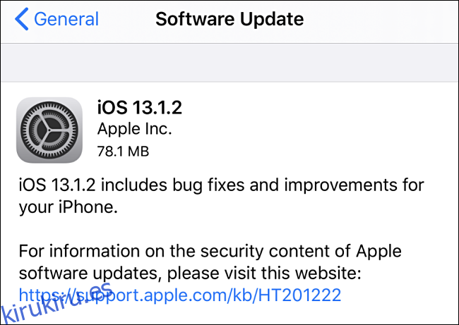 Captura de pantalla de la actualización de iOS a 13.1.2