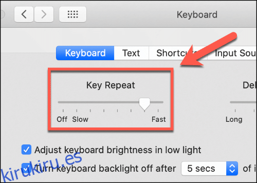 Mueva el control deslizante de repetición de teclas hacia arriba y hacia abajo para afectar la velocidad de repetición del teclado de su Mac