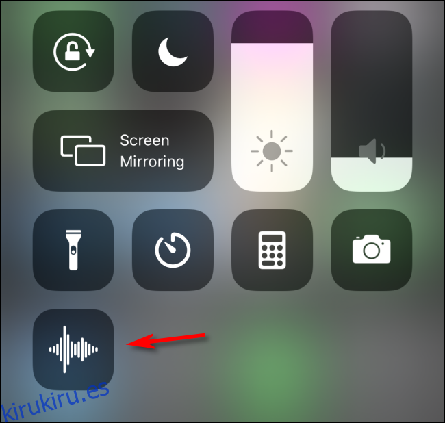 Seleccione el icono de notas de voz para usarlo en el Centro de control de iOS