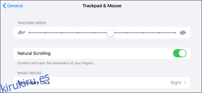 Personalización del mouse en iPadOS