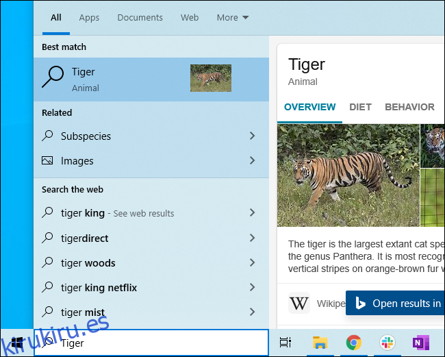 Búsqueda de Bing que muestra información sobre tigres en el menú Inicio de Windows 10.
