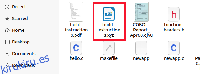 Archivo de OpenDocument correctamente identificado dentro del explorador de archivos de archivos, aunque su extensión es XYZ.
