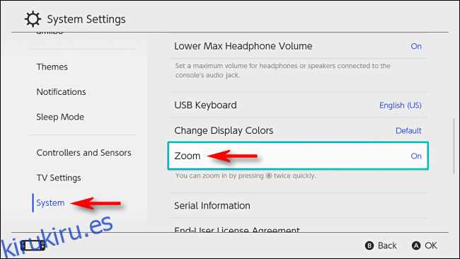 Activar Zoom en la configuración del sistema en Nintendo Switch