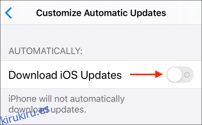 Toque alternar junto a Descargar actualizaciones de iOS