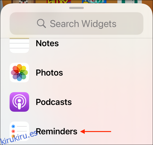 Toque una aplicación en la lista de widgets.