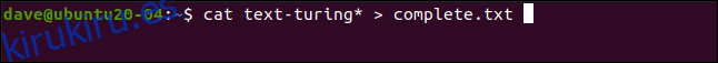 cat text-turing *> complete.txt en una ventana de terminal «.  width = ”646 ″ height =” 57 ″ onload = ”pagespeed.lazyLoadImages.loadIfVisibleAndMaybeBeacon (esto);”  onerror = ”this.onerror = null; pagespeed.lazyLoadImages.loadIfVisibleAndMaybeBeacon (this);”> </p>
<div style=
