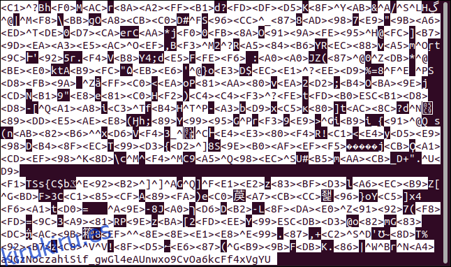 Contenido de un archivo de texto cifrado en menos en una ventana de terminal.