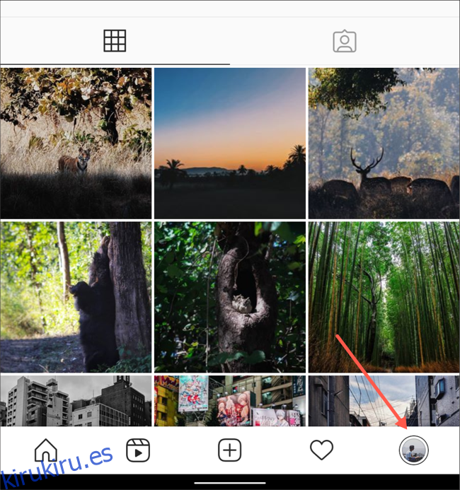 Visite la pestaña de perfil en la aplicación de Instagram