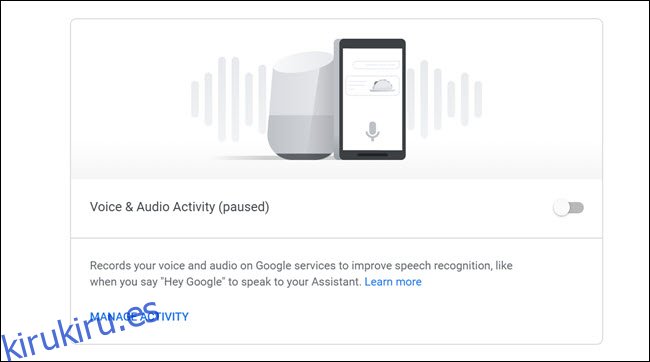 Panel de actividad de Google Voice y Audio con alternar.