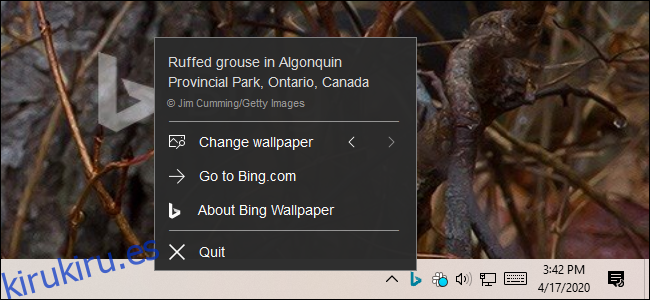 Controlar la aplicación Bing Wallpaper desde su icono de área de notificación.