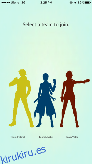 equipo selecto de pokemon