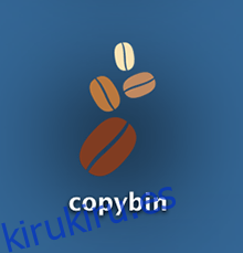 Copybin - Icono