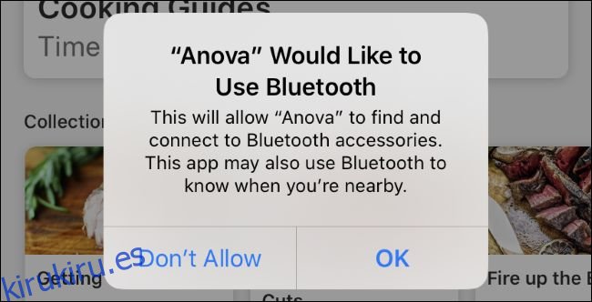 El mensaje de solicitud de permiso de Bluetooth genérico de la aplicación Anova en iOS 13.