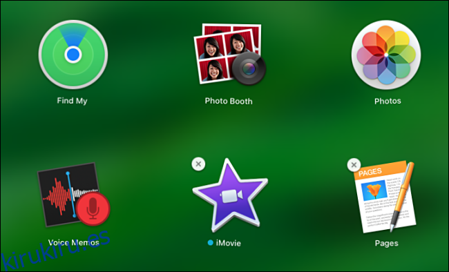 Captura de pantalla del modo jiggle de Launchpad en macOS Catalina