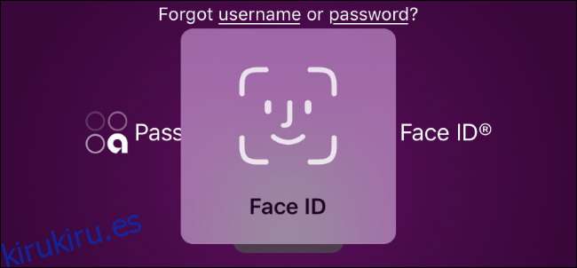 Mensaje de Face ID para una aplicación de banca en línea en un iPhone.