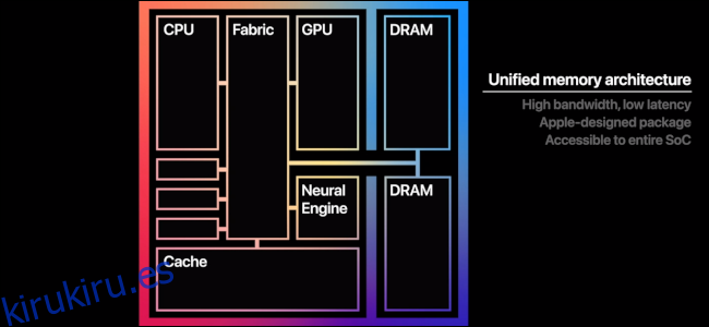 Un gráfico que muestra las diferentes partes del procesador M1.