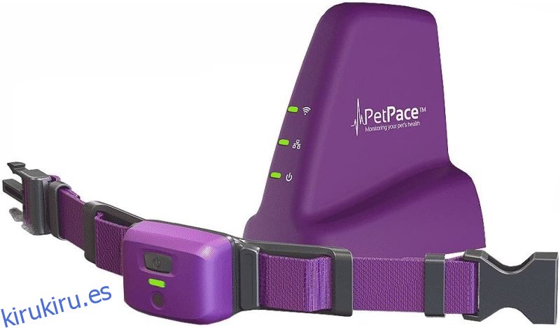 Collar inteligente PetPace con monitorización Pet Plus de 12 meses