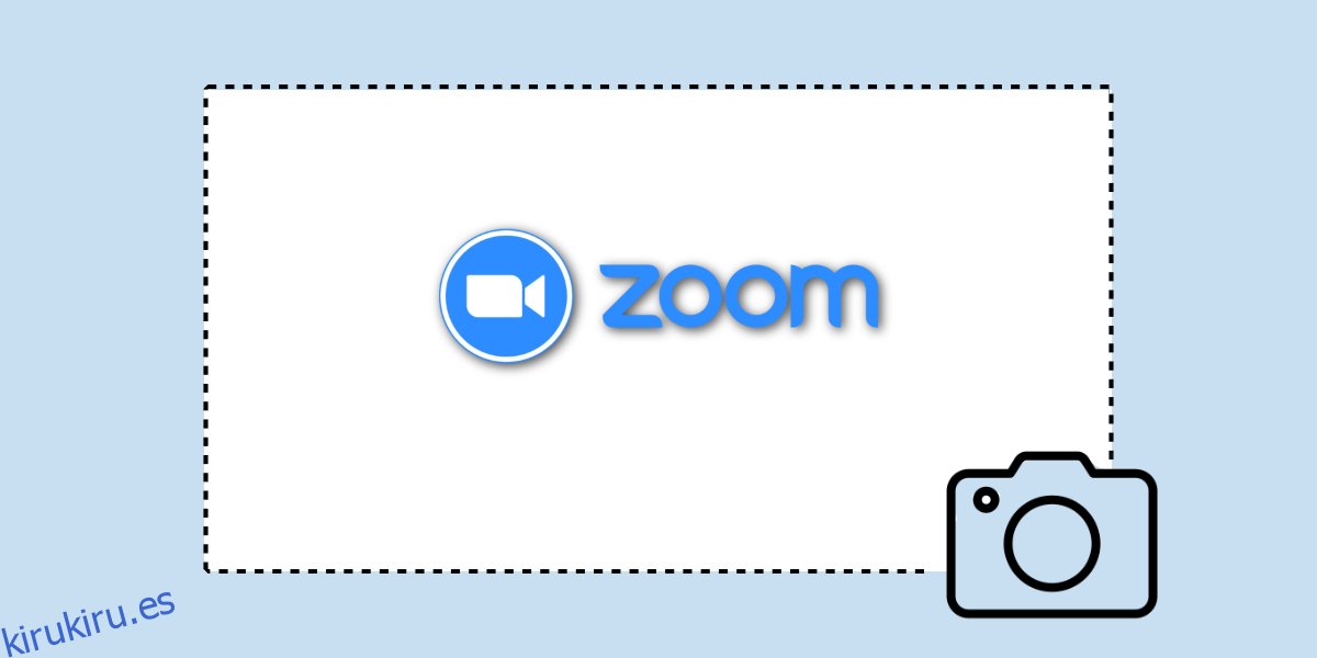 Captura de pantalla de la reunión de Zoom